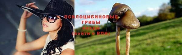 дживик Алексин