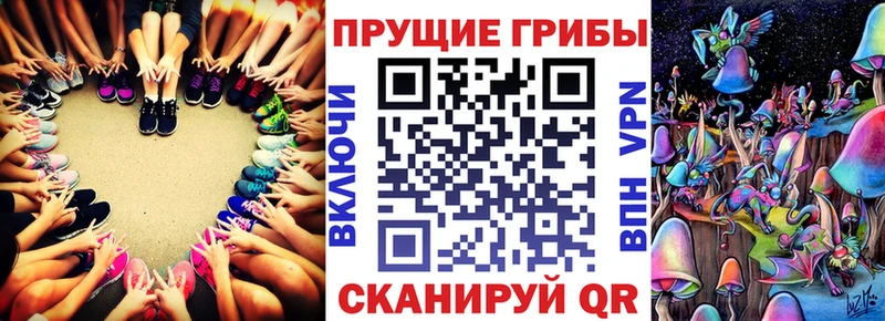 цена наркотик  Сольвычегодск  Псилоцибиновые грибы прущие грибы 